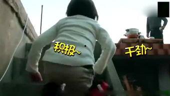 吃瓜小白瞧娱乐,揭秘娱乐圈幕后故事