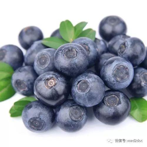 娱乐吃瓜酱蓝莓视频大全,娱乐吃瓜酱带你领略趣味瞬间