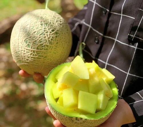 娱乐圈吃瓜壁纸图片高清