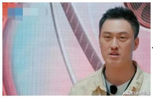 娱乐圈吃瓜爆料图文